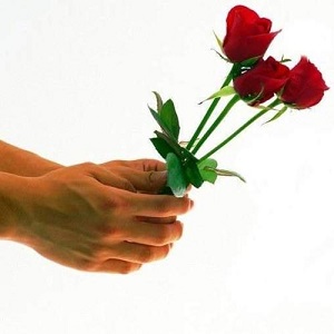 Hoa hồng trao tặng
